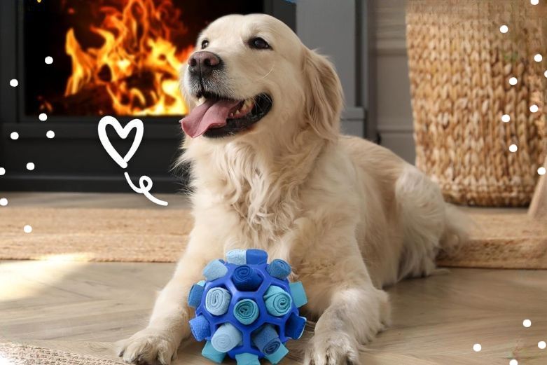 Intelligenzspielzeug für Hunde -Schnüffelball