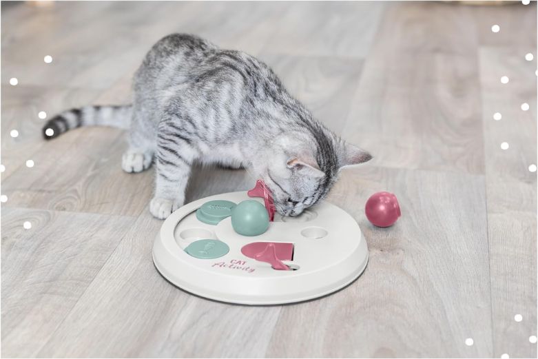 Intelligenzspielzeug für Katzen - Katzenspielzeug