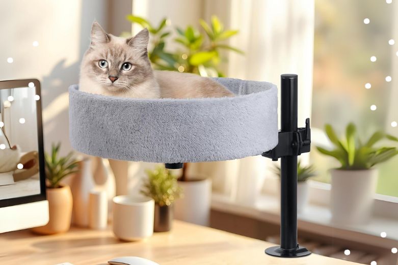 Katzenbett für den Schreibtisch - Home Office mit Katze